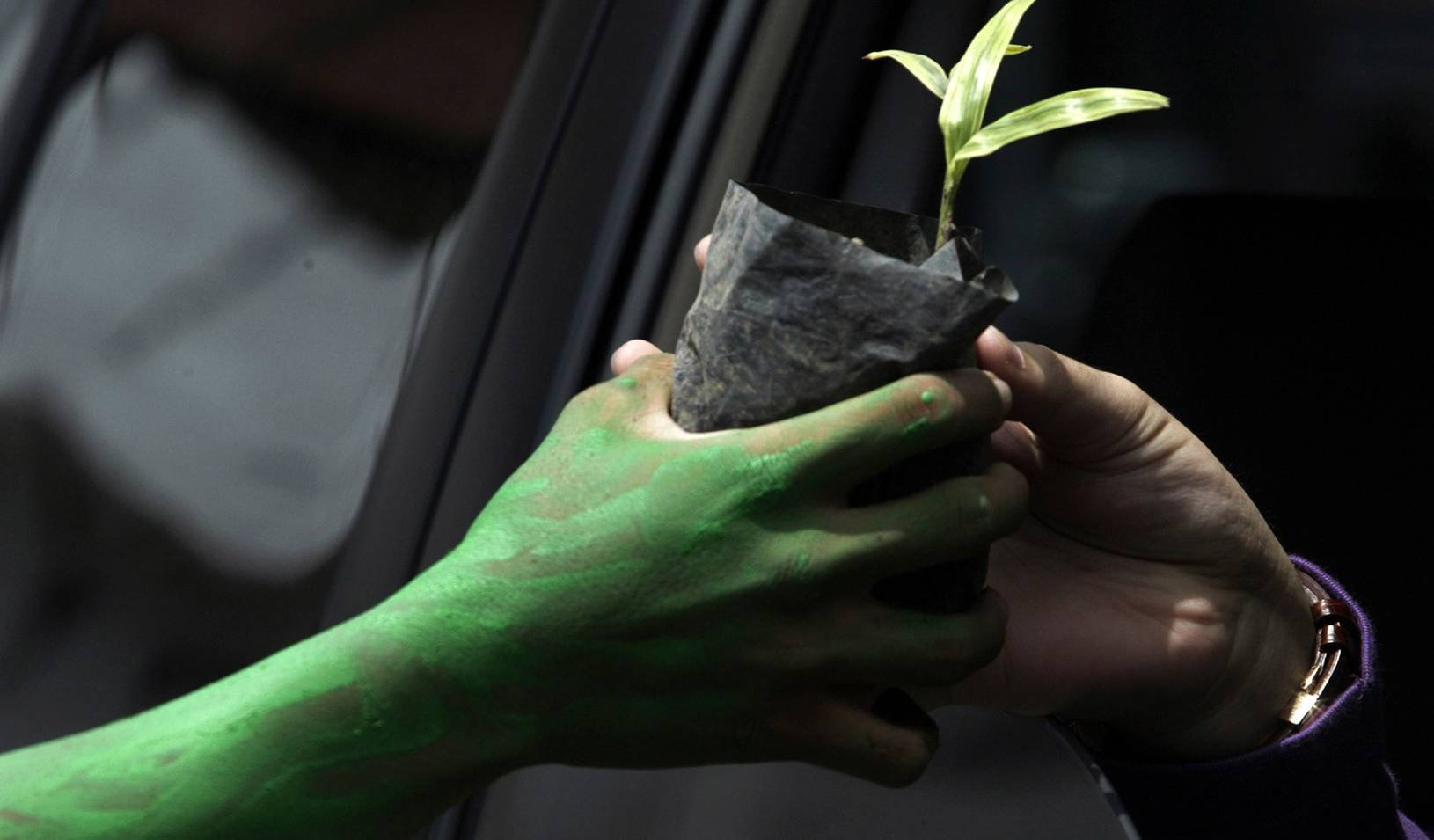 An environmental activist with green paint on his hand gives a plant to a car driver | Reuters/Sigit Pamungkas 