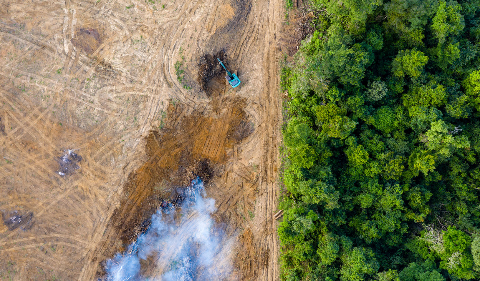 Aerial view of deforestation. Rainforest being removed to make way for palm oil and rubber plantations stock photo