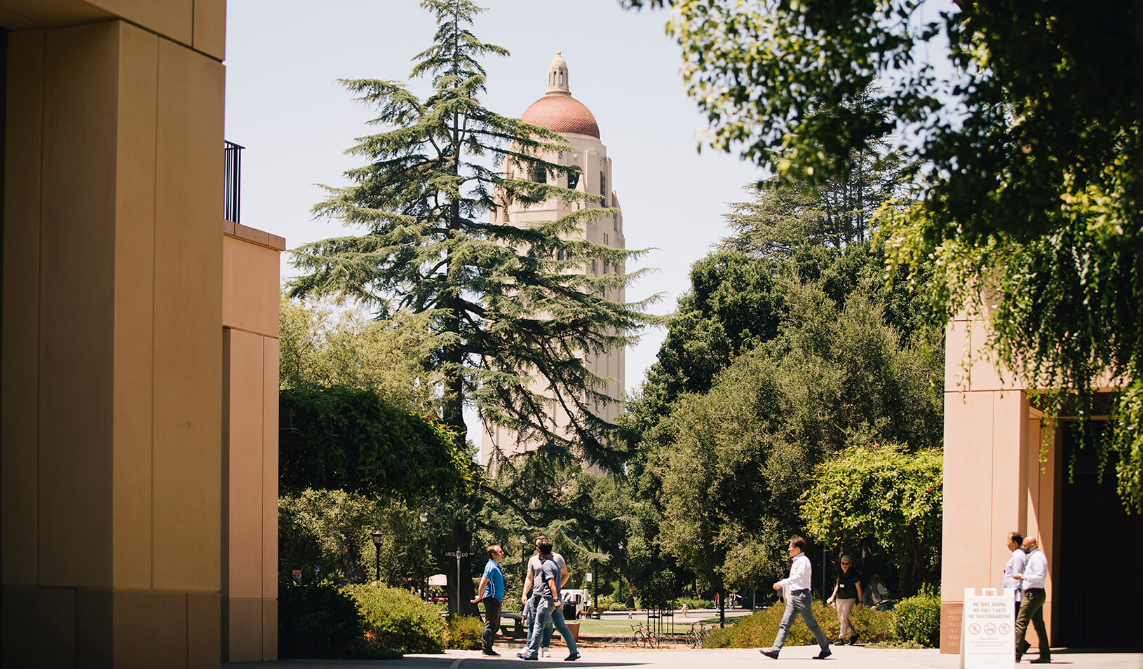 Stanford Campus Hoover Tower