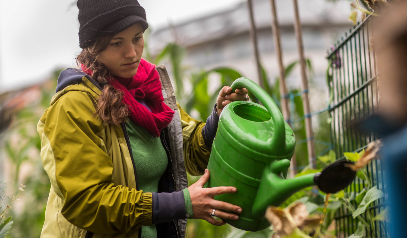 Volunteer Lena Haug, a native of Santa Cruz, CA, waters plants at an urban gardening project. Credit: Reuters/Thomas Peter