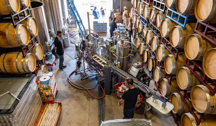 Winemakers Maker Wine in their warehouse, surrounded by barrels of wine, with bottles of wine going down a conveyer belt in the middle of the room. William Carnahan