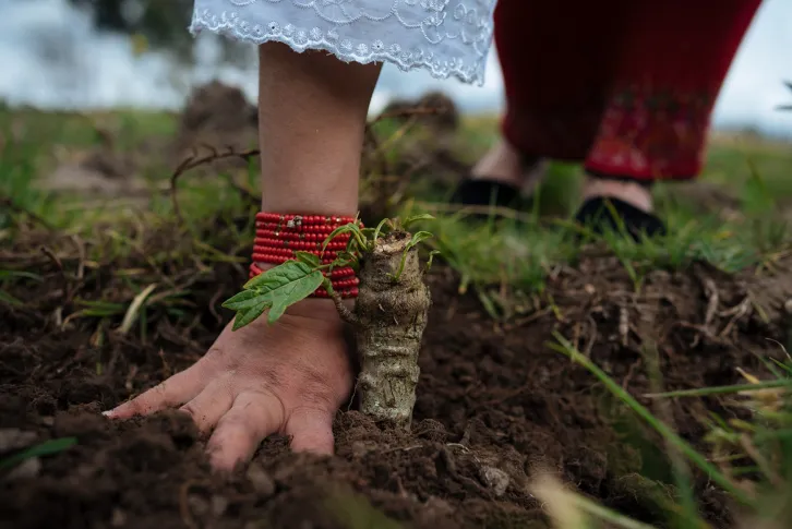 indigenous woman's hand reaching into freshly tilled ground