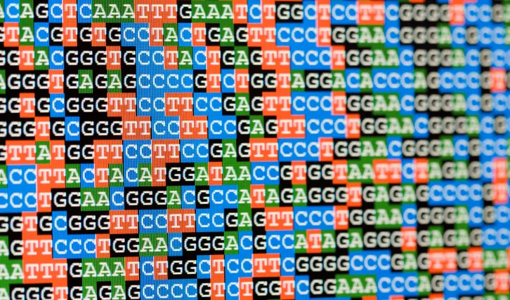 Unaligned DNA sequences viewed on LCD screen. l Getty Images